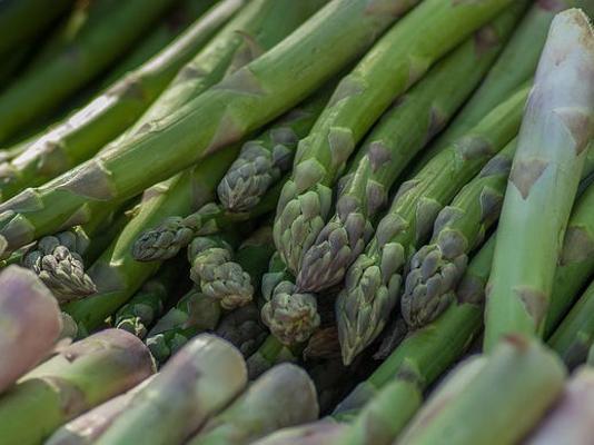 Spargel grün geerntet Spargel grün geerntet